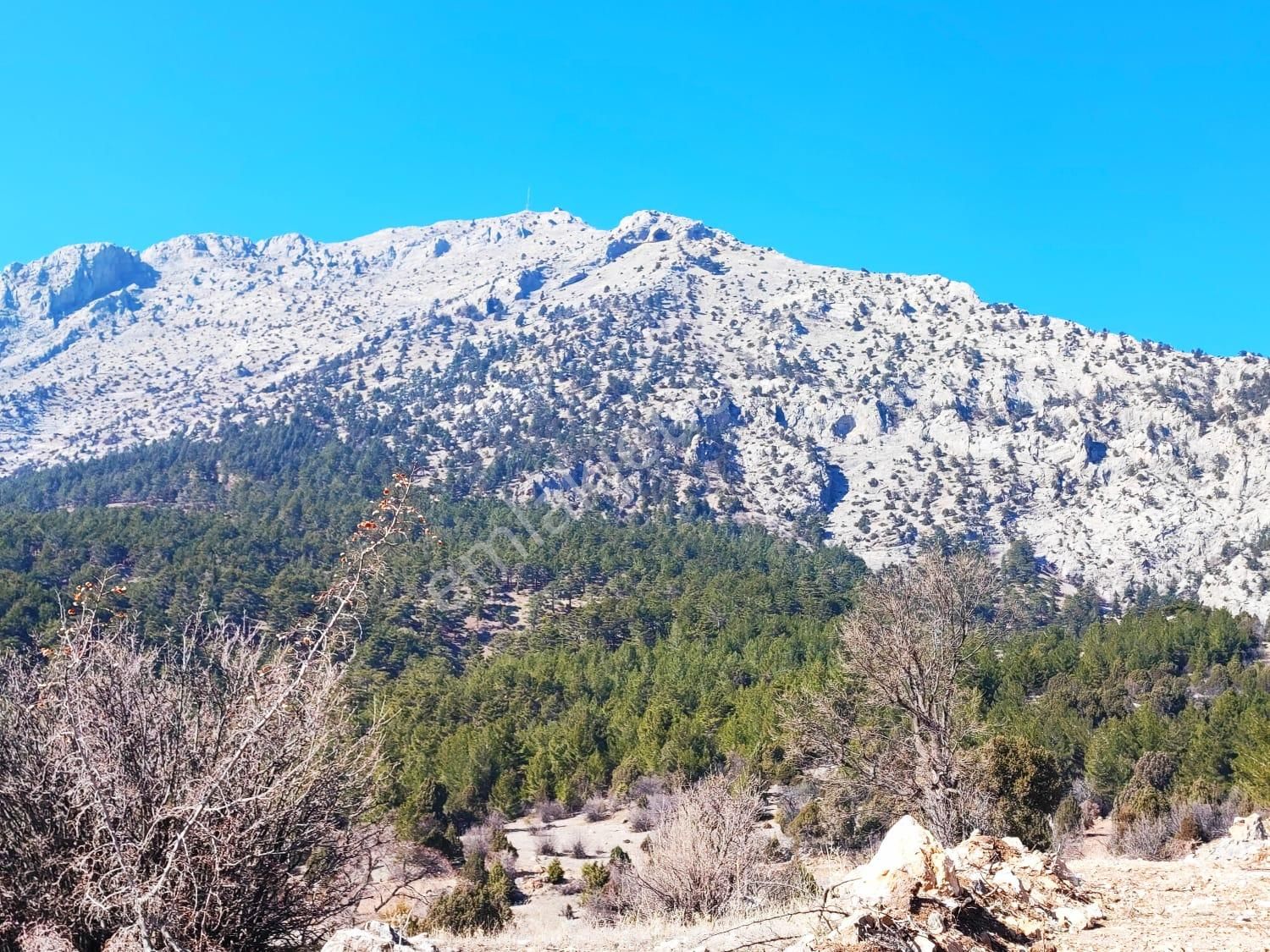 Pozantı Kar Emlaktan Alpu Yaylasında Doğa Manzaralı Satılık 500 M2 Arsa - Görsel 13