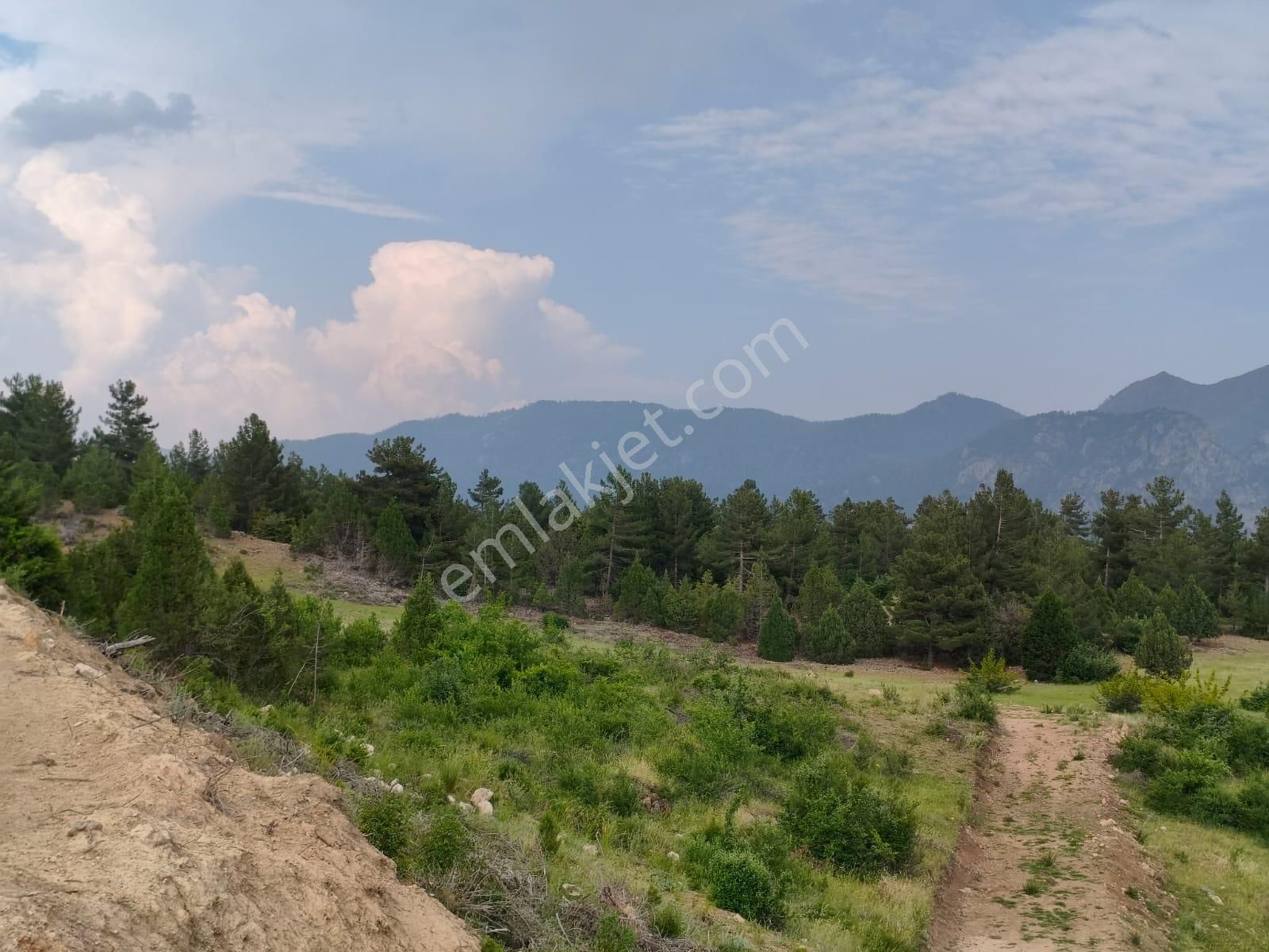 Pozantı Kar Emlaktan Alpu Yaylası Radar Yolunda Doğa Manzaralı İmralı İfrazlı 400 M2 Satılık Arsa - Görsel 9