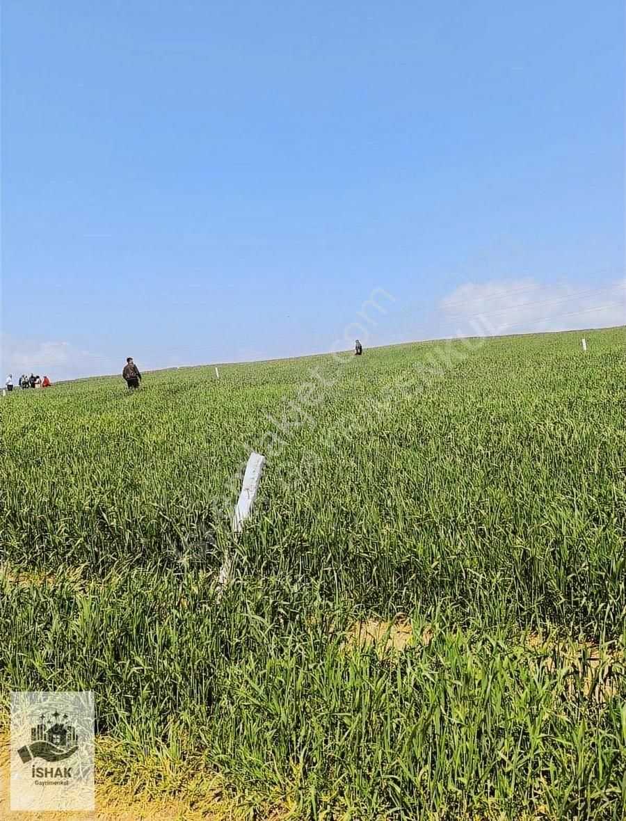Tekirdağ Marmaraereğlisi Çeşmelide Yatırımlık Hisseli Tarlalar