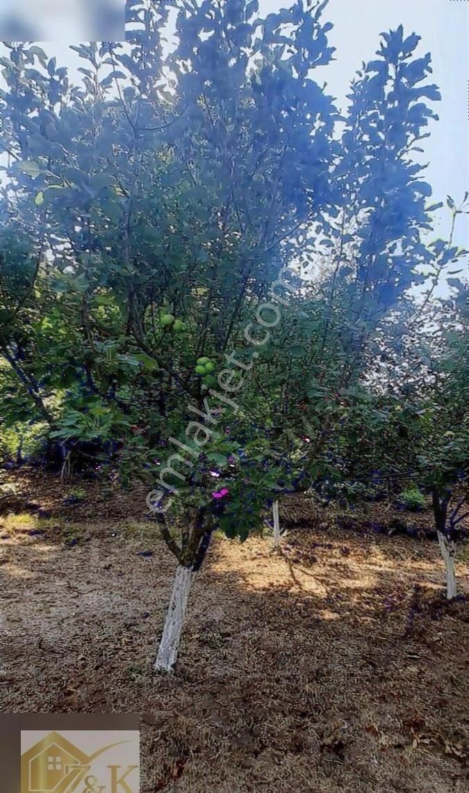 Kirazlı Köyü Satılık Bina 2 Daireli 1000 M2 İçinde 2b Tapulu - Görsel 6