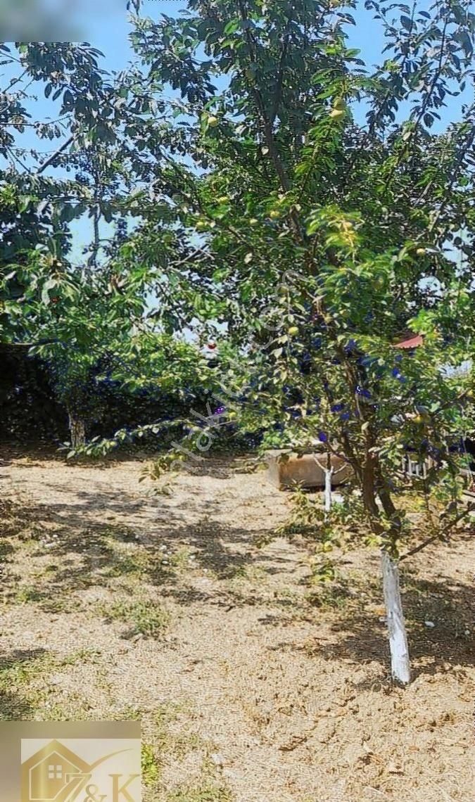 Kirazlı Köyü Satılık Bina 2 Daireli 1000 M2 İçinde 2b Tapulu - Görsel 32