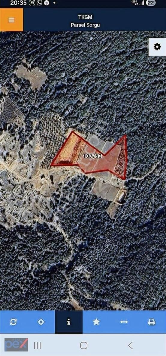 Veysellide Orman Sınırında Geniş Kullanım Alanlı Satılık Tarla