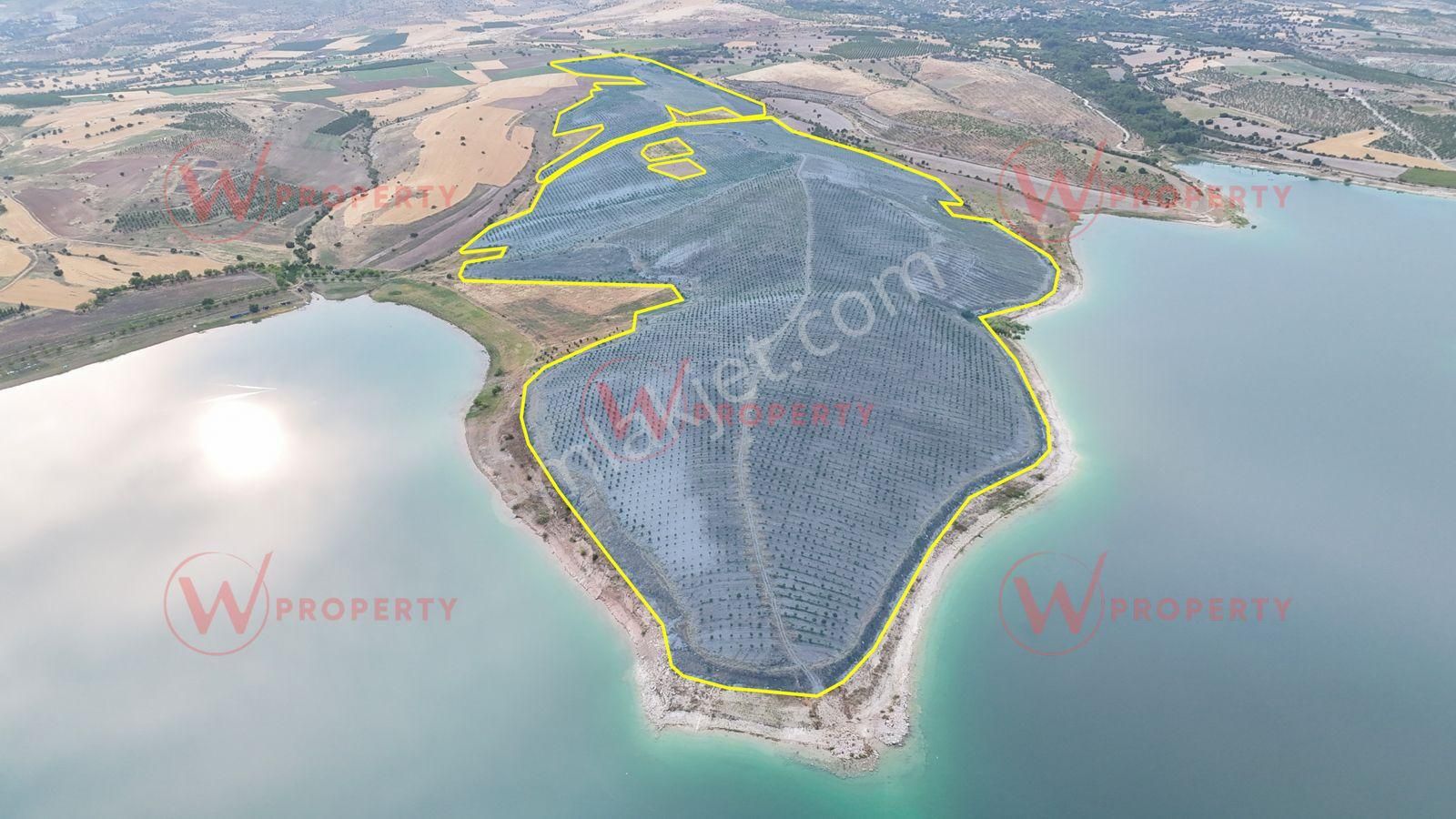 W Property Elazığ'da Keban Barajı Sıfır 603 Dönüm Badem Bahçesi