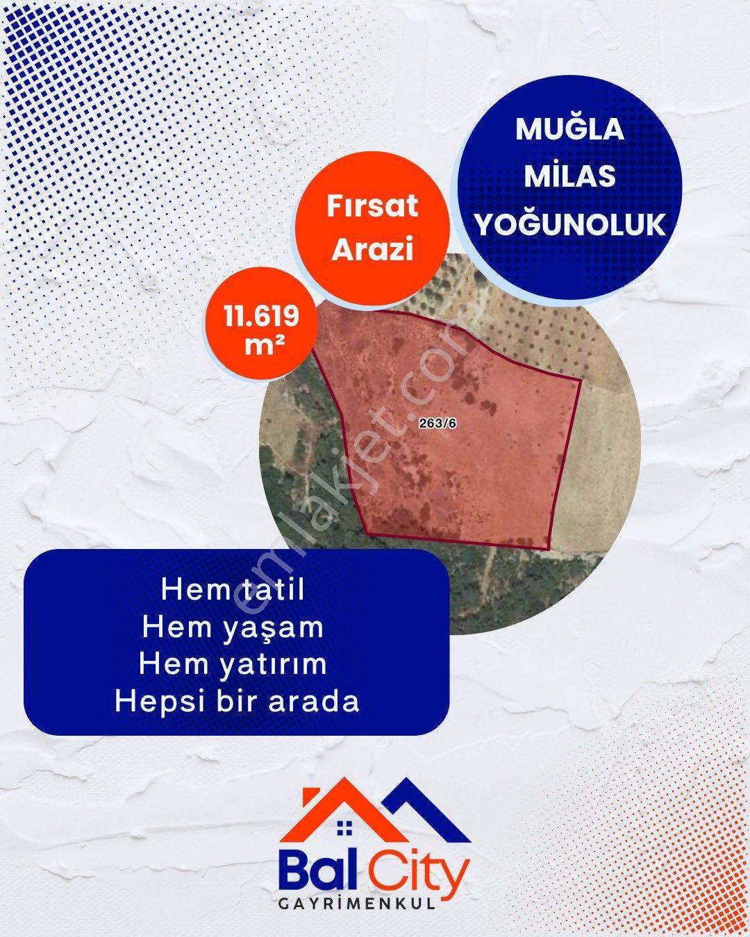 🏡 Muğla Milas Yoğunoluk’ta Tatil Bölgesinde 11.5 Dönüm Hobi Bahçesi🌿