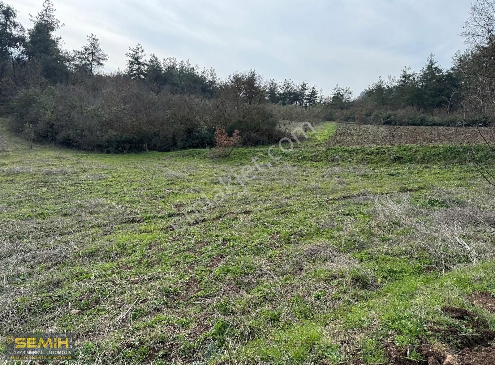Semih'den Gökçesuda 8400 M2 Bu M2 Bu Paraya Yer Yok Açil - Görsel 3