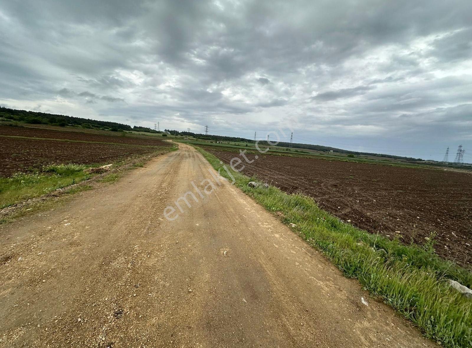 Kırklareli Vize Çakıllıda 4 Dönüm Tek Tapu Kelepir Fiyatlı - Görsel 12