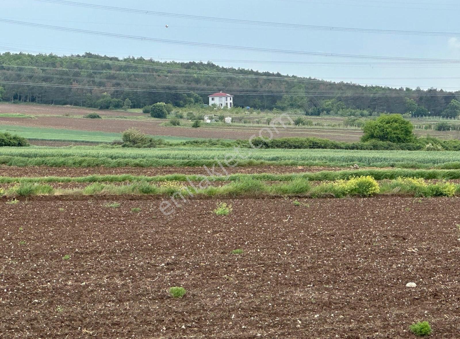 Kırklareli Vize Çakıllıda 4 Dönüm Tek Tapu Kelepir Fiyatlı - Görsel 11