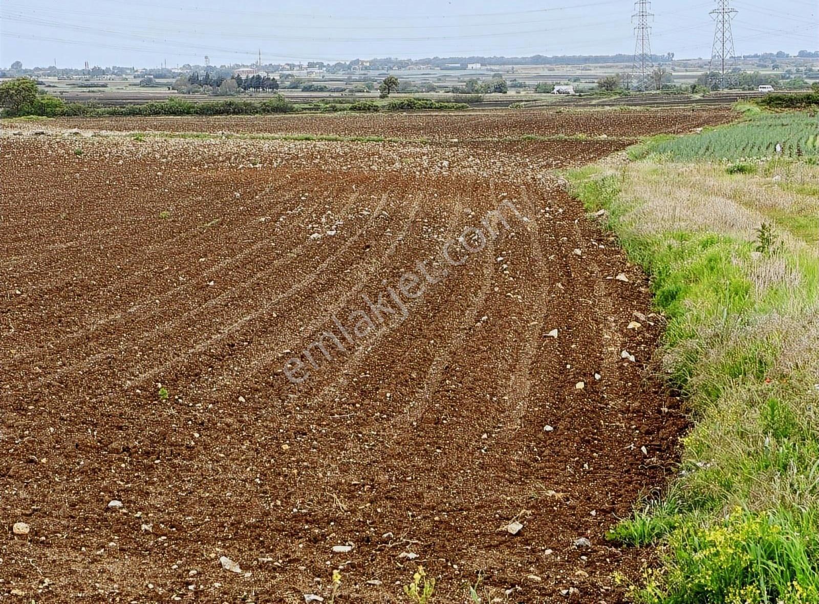 Kırklareli Vize Çakıllıda 4 Dönüm Tek Tapu Kelepir Fiyatlı - Görsel 4