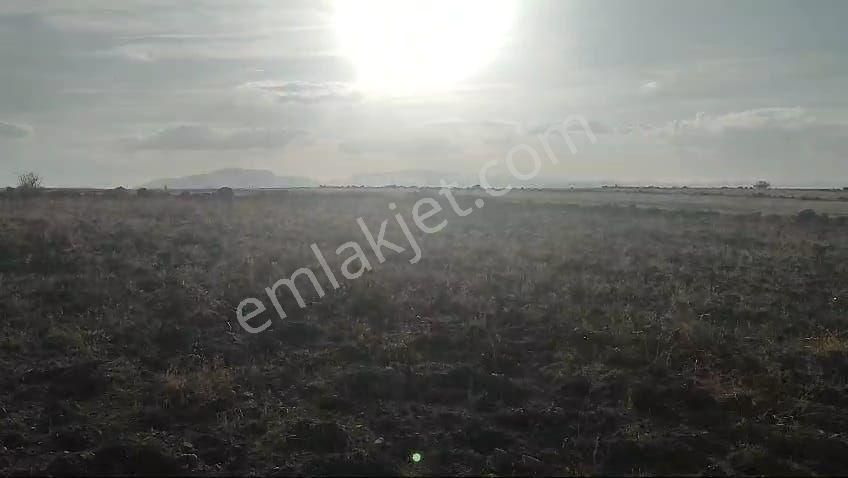Sahibinden📍satılık 22.700 M² Tarla – Balık Gölü Yanı, Yatırımlık Fırsat!