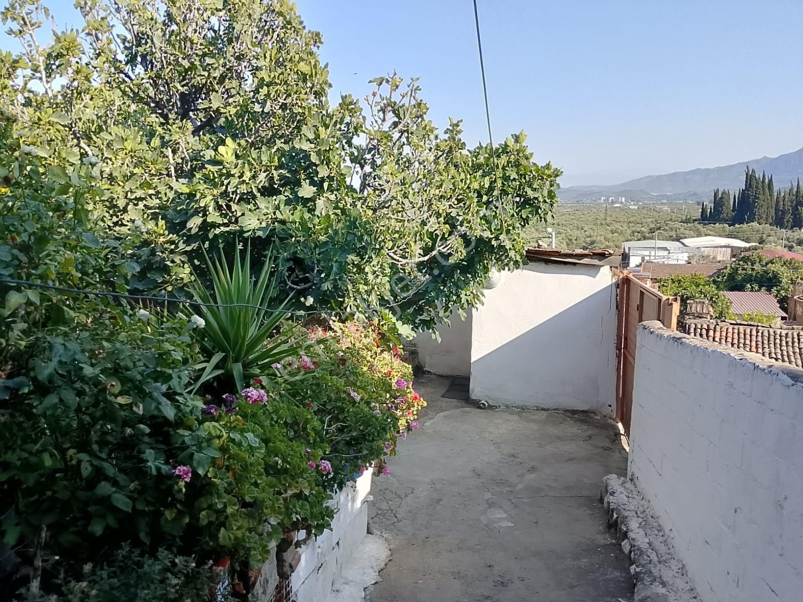 Doğayla İç İçe Sağlıklı Yaşam Yeri Köy Evi