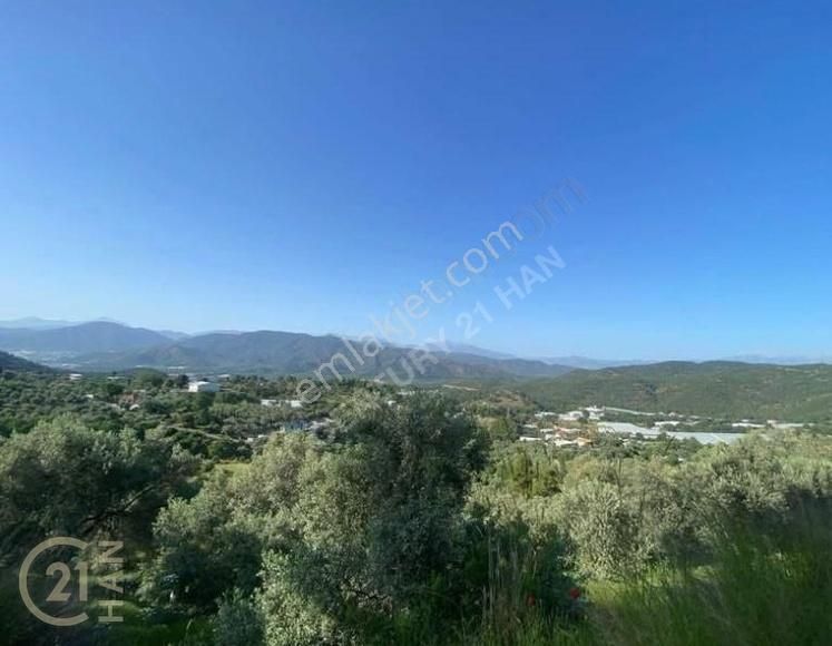 Muğla Fethiye Bozyer Yola Cephe Satılık Tarla