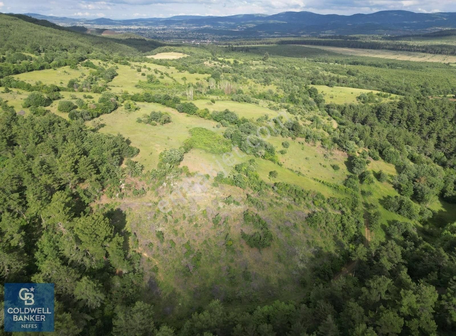 Çanakkale Yenice Ahiler Köyünde 5.762 M² Satılık Tarla !