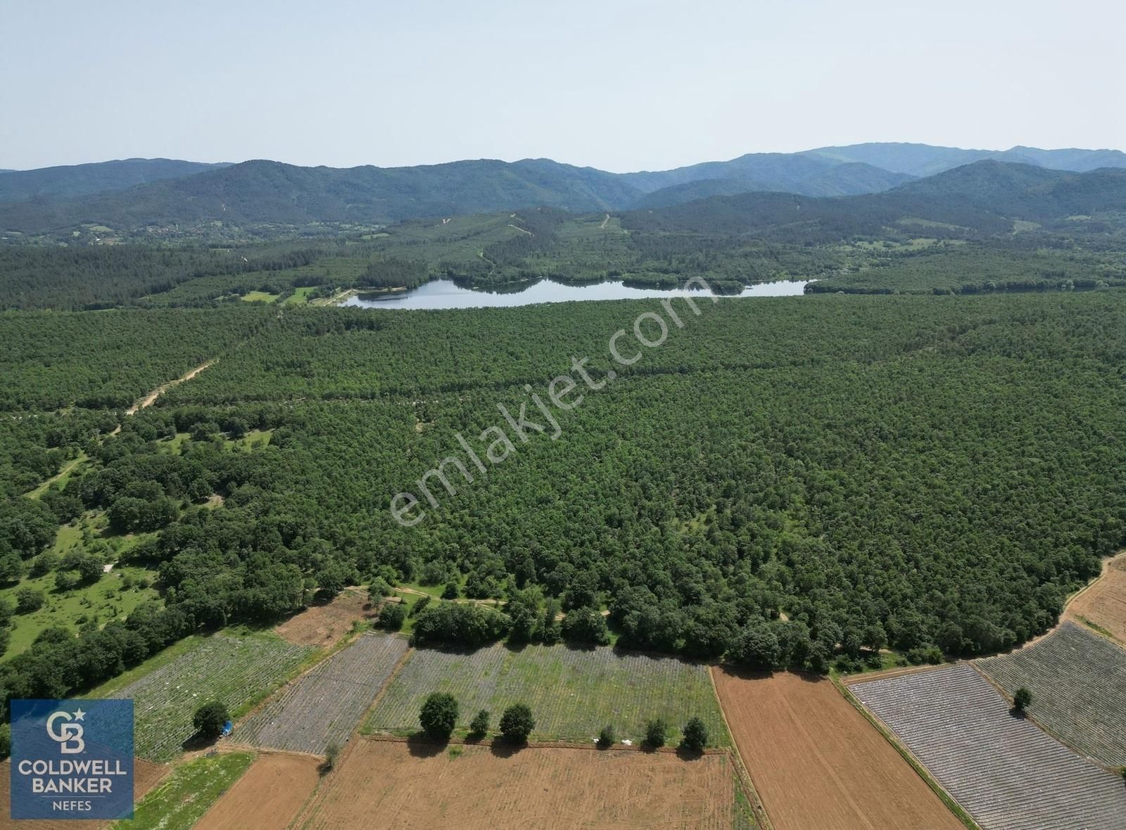 Çanakkale Yenice Kalkım Beldesinde Satılık 6.008 M² Tarla !