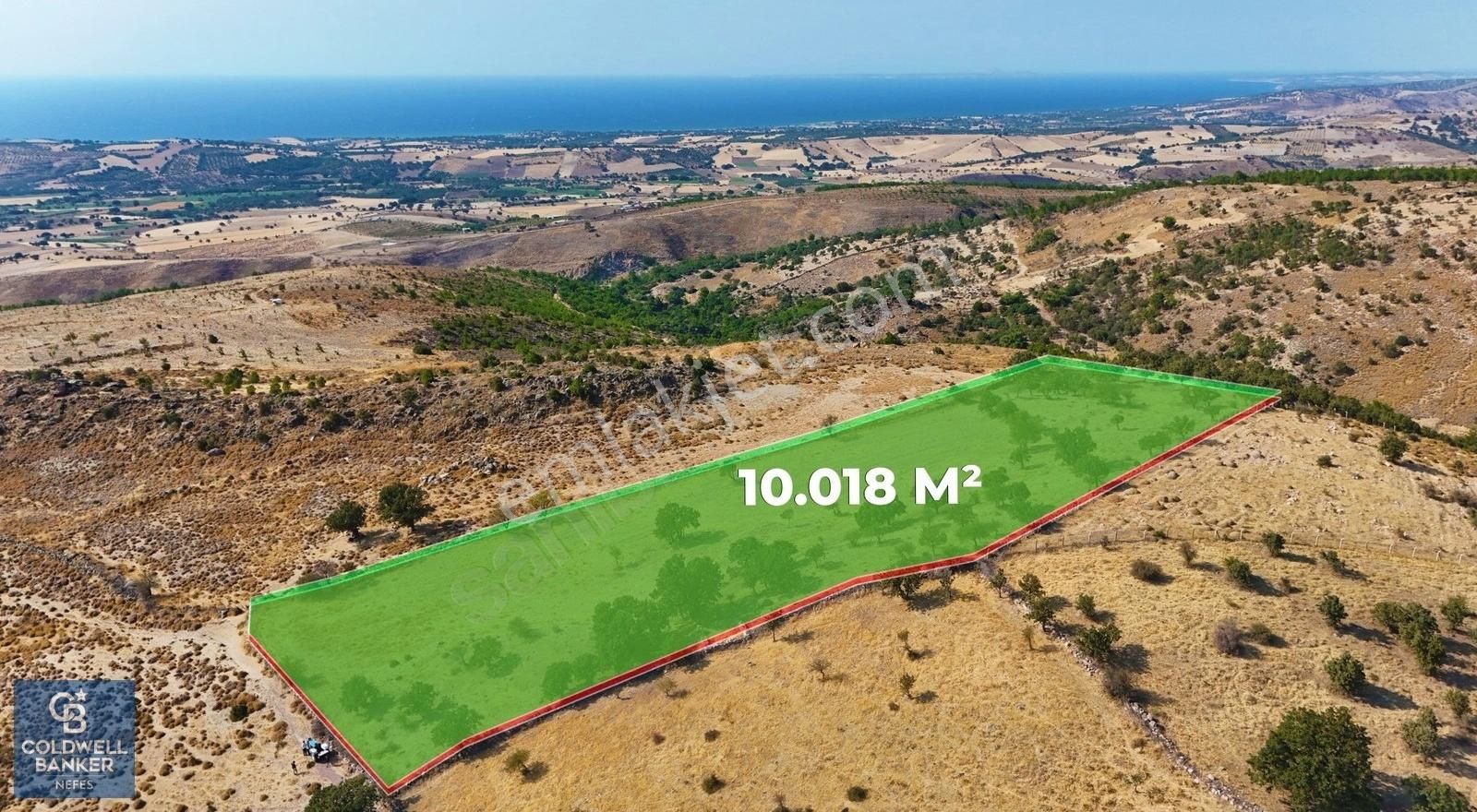 Çanakkale Ayvacık Naldöken Köyünde 10.018 M2 Satılık Tarla !