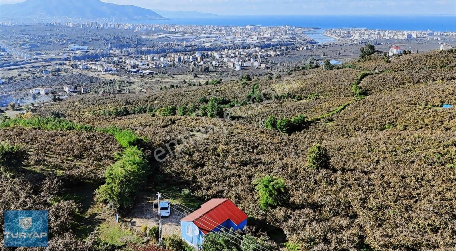 Her Noktasından Deniz Ve Ordu Manzaralı Yatırımlık Arazı