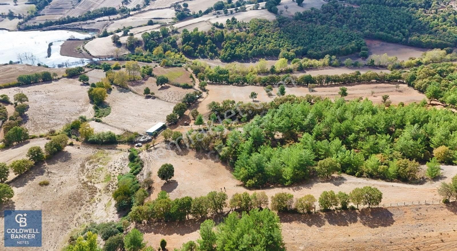 Çanakkale Çan Karadağ Köyünde 11.800 M2 Fırsat Satılık Tarla !