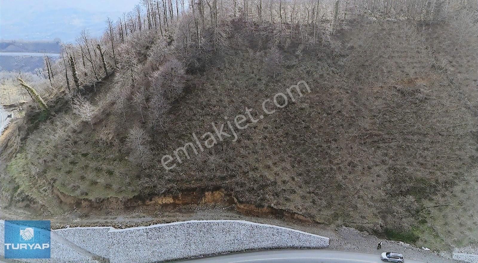 Sayacabaşında Yol Kenarı Manzaraya Hakim Satılık Arazi
