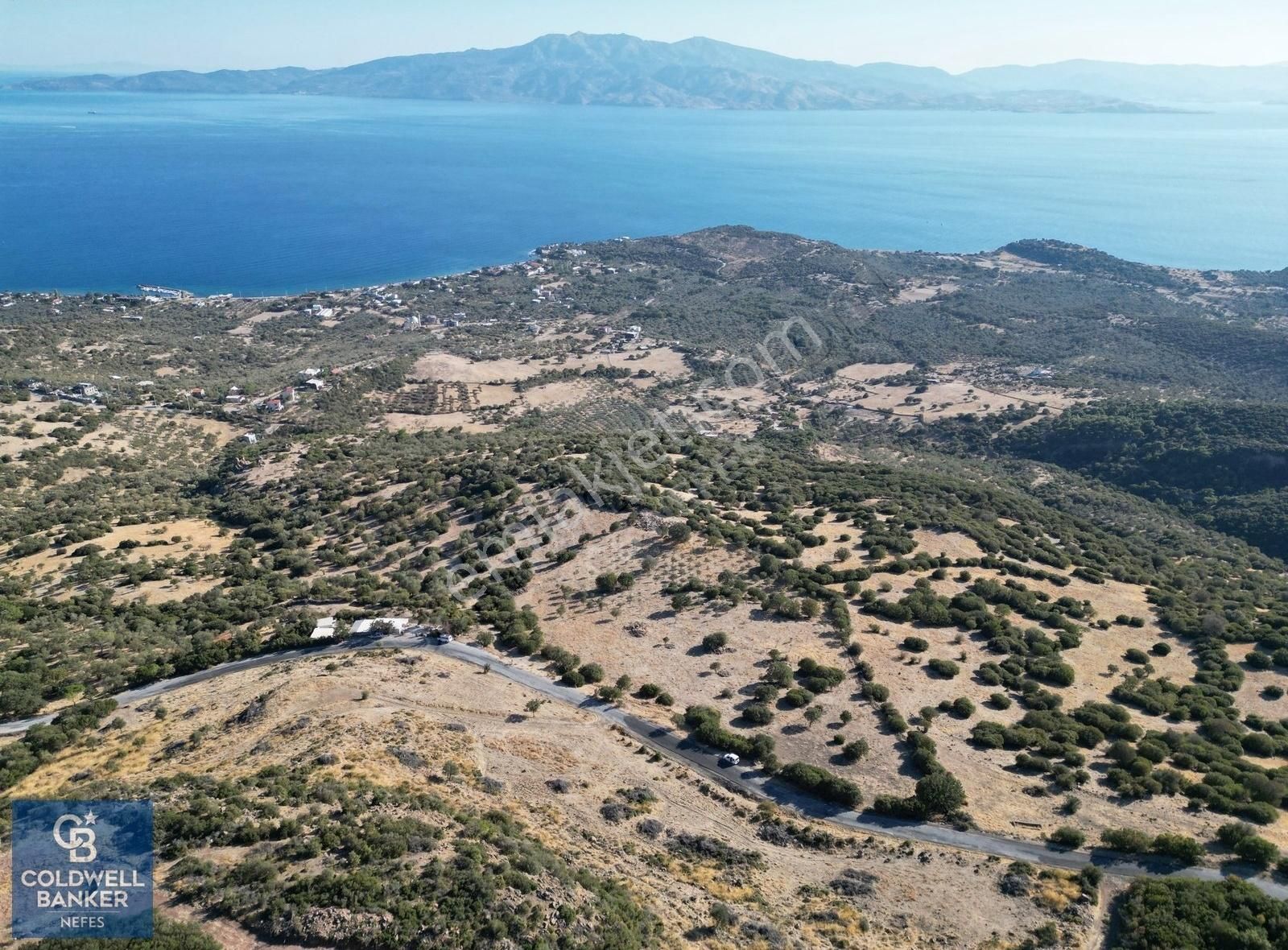 Ayvacık Sokakağzı'nda Panoromik Deniz Manzaralı Fırsat Zeytinlik