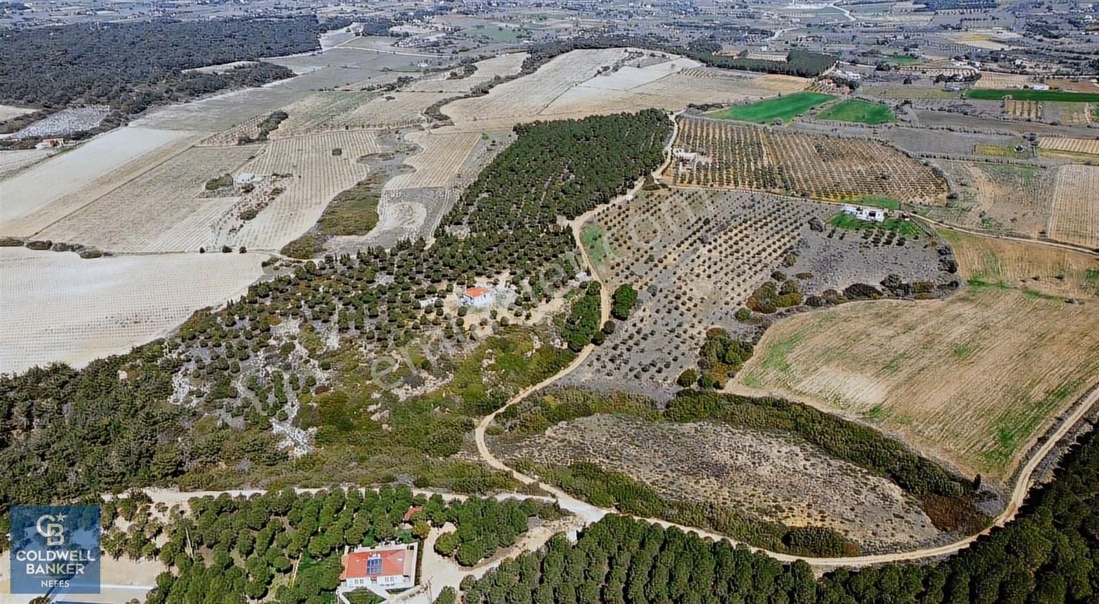 Bozcaada Beylik Koyu Manzaralı Satılık Arazi