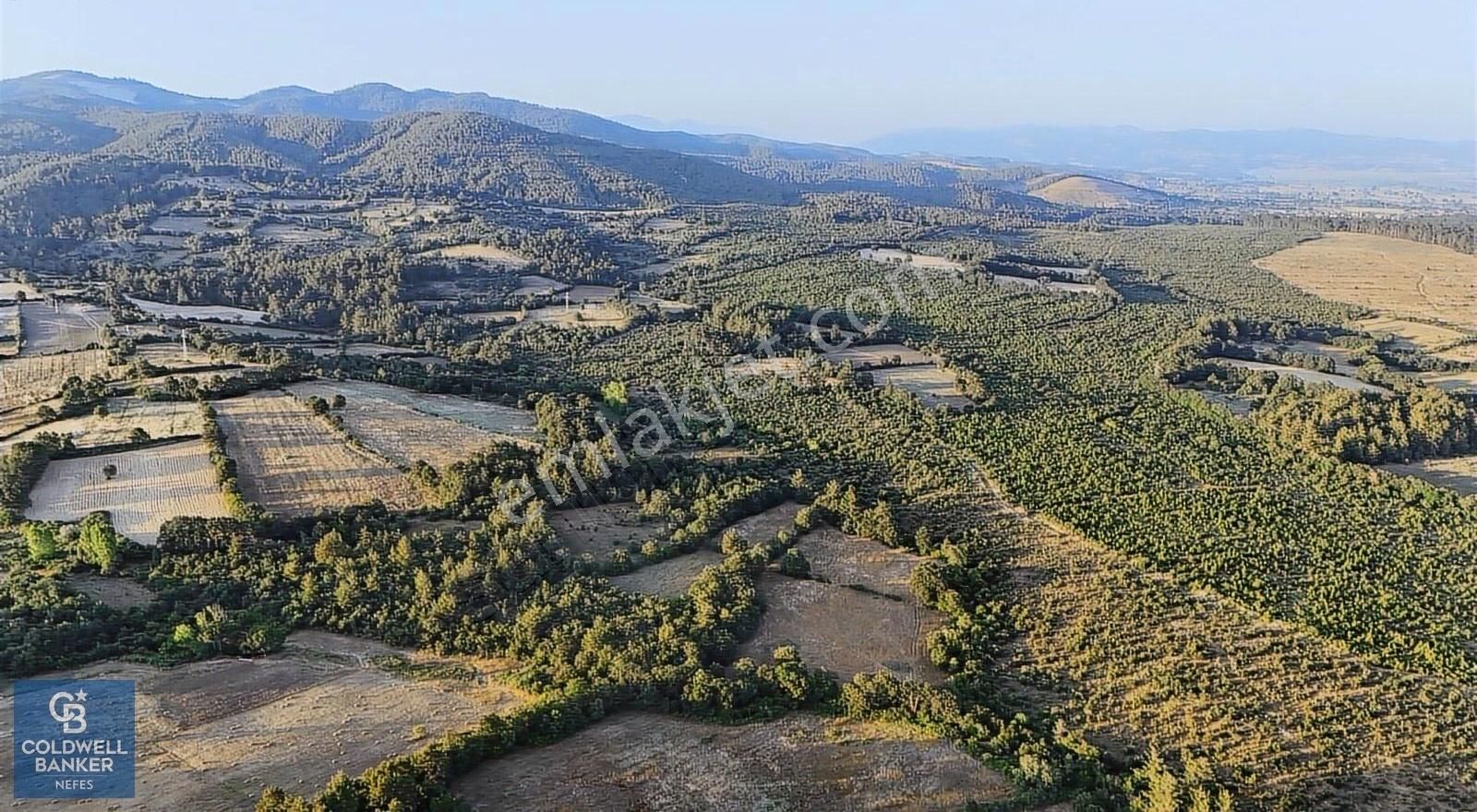 Çanakkale Yenice Ahiler Köyünde Satılık 8.944 M² Tarla !