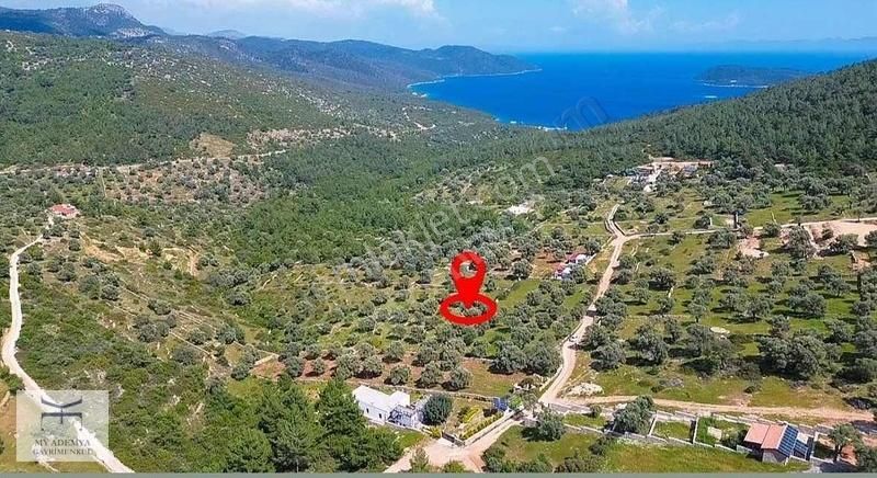 Bodrum Yalıçiftlikte Satılık Müstakil Tapulu Tarla