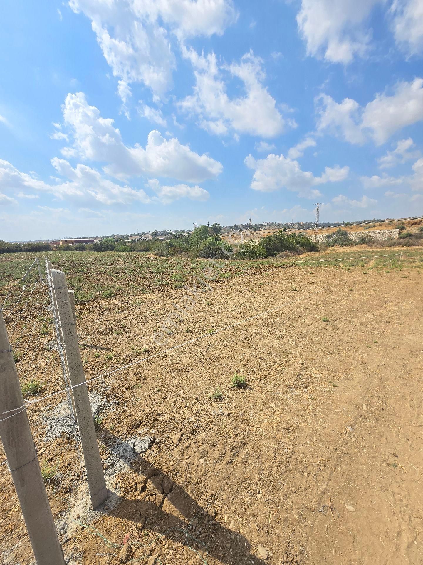 Vesile Gayrimenkulden Kılıçlıda 256 M2 Kozan Yolu Yanı - Görsel 6