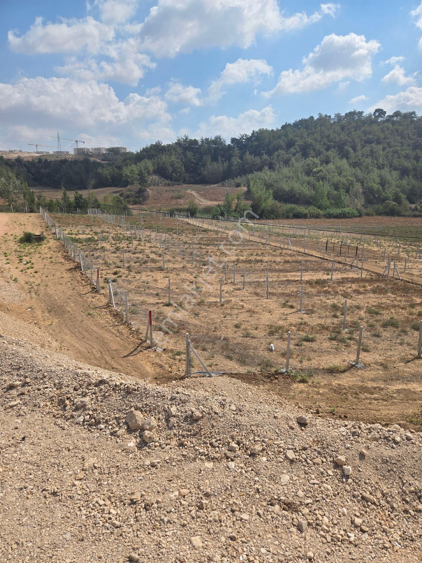Vesile Gayrimenkulden Kılıçlıda 256 M2 Kozan Yolu Yanı - Görsel 9