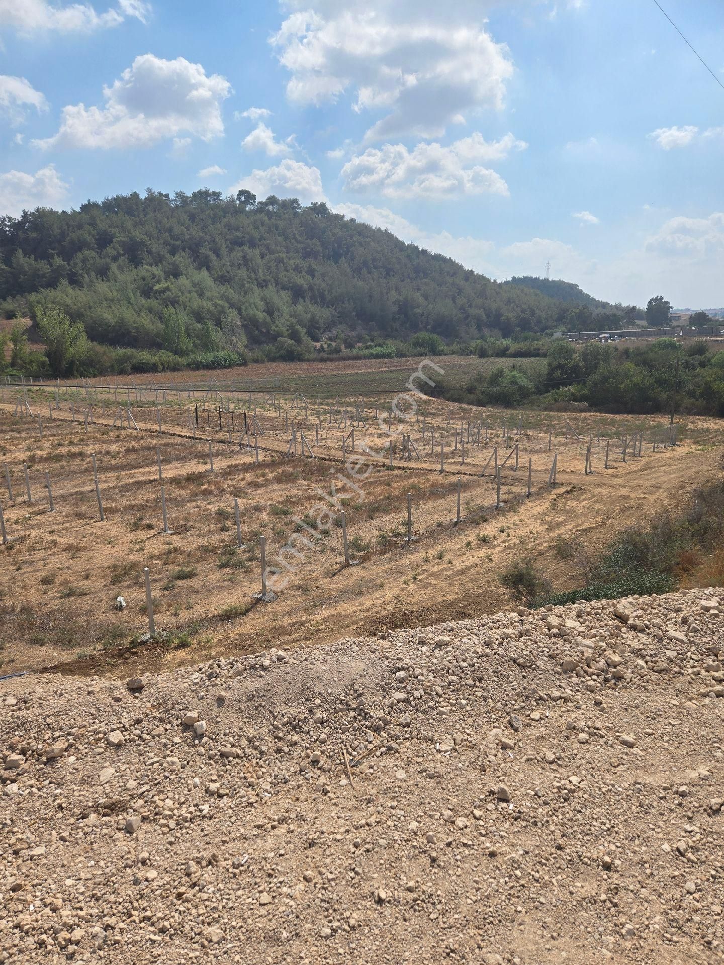 Vesile Gayrimenkulden Kılıçlıda 256 M2 Kozan Yolu Yanı - Görsel 8