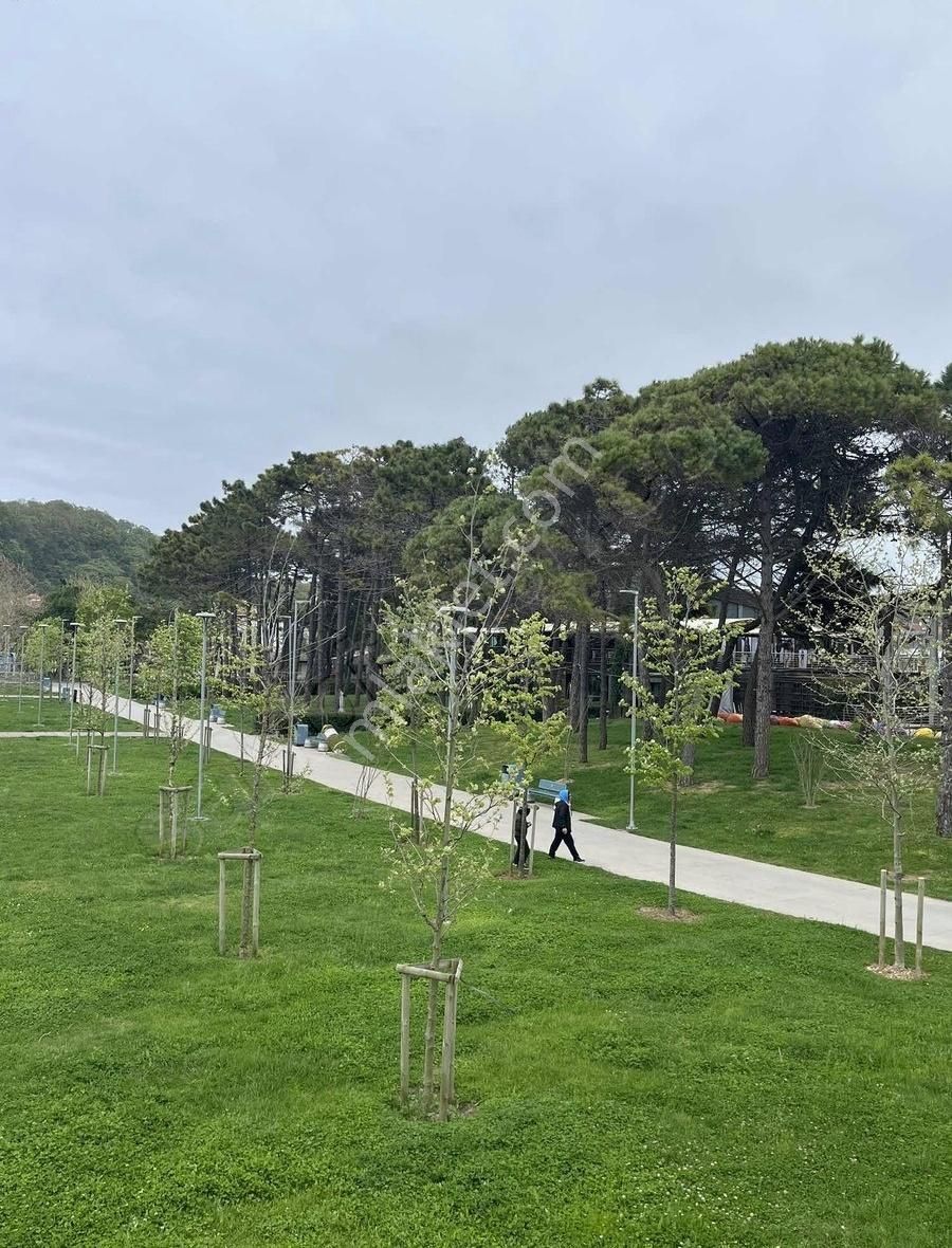 Şile Ağva Geredeli Köyünde Satılık Arsa - Görsel 15