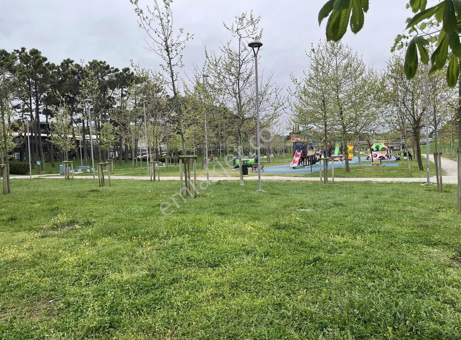 Şile Ağva Geredeli Köyünde Satılık Arsa - Görsel 12