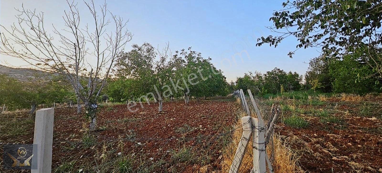 Burç Akpınar Mah, Satlık Meyve Bahçesi