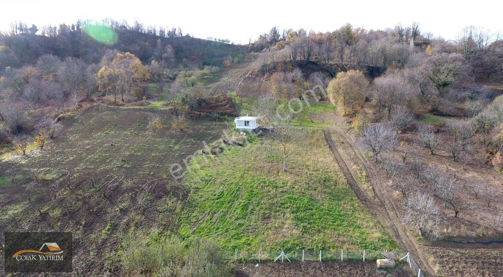Yalova Çiftlikköy Çukurköy'de Satılık 2.000 M2 Tarla Ve Ev