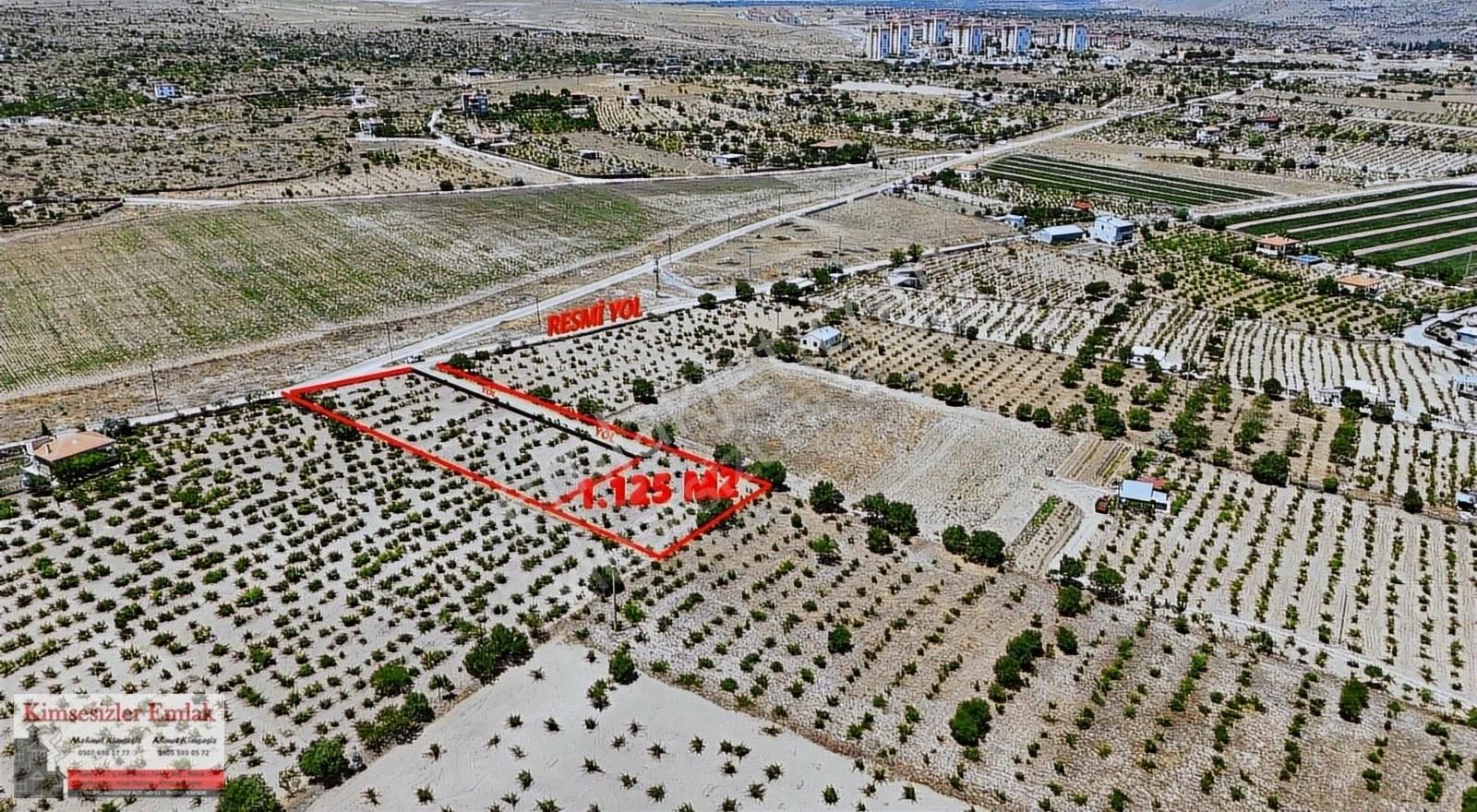İncesu Semerkentte Satılık 1.125 M2 Bakımlı Bağ