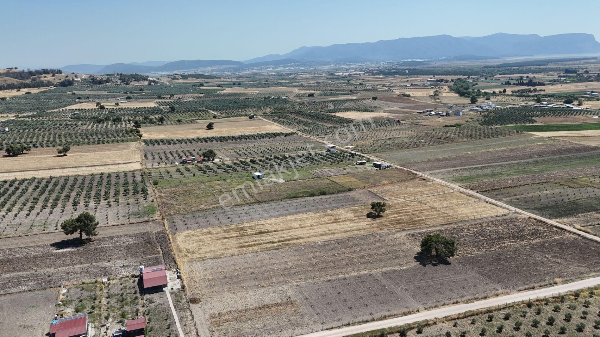 Tekeli 2 Ada 1 Parselde 270 M2 Noter Satışlı Bahçe Menderes İzmir - Görsel 32