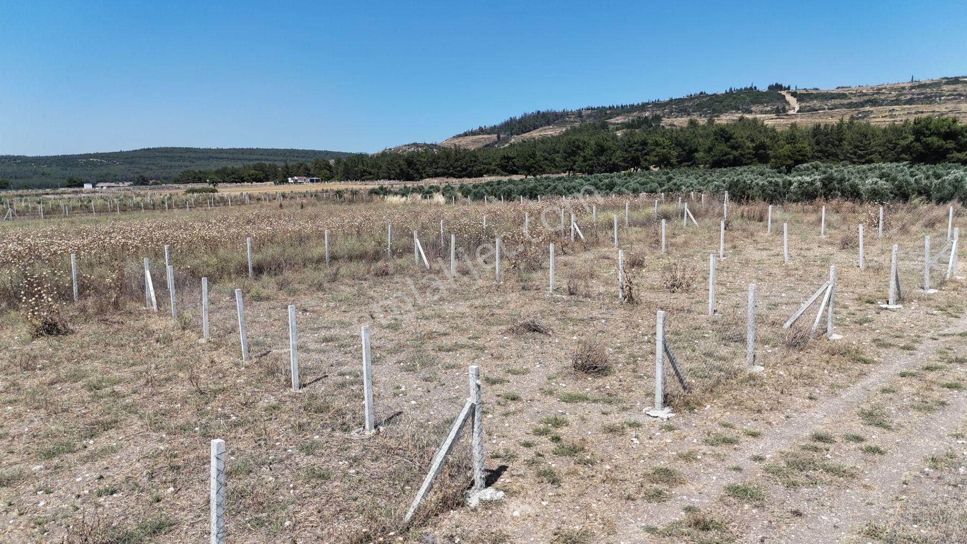 Tekeli 2 Ada 1 Parselde 270 M2 Noter Satışlı Bahçe Menderes İzmir - Görsel 12