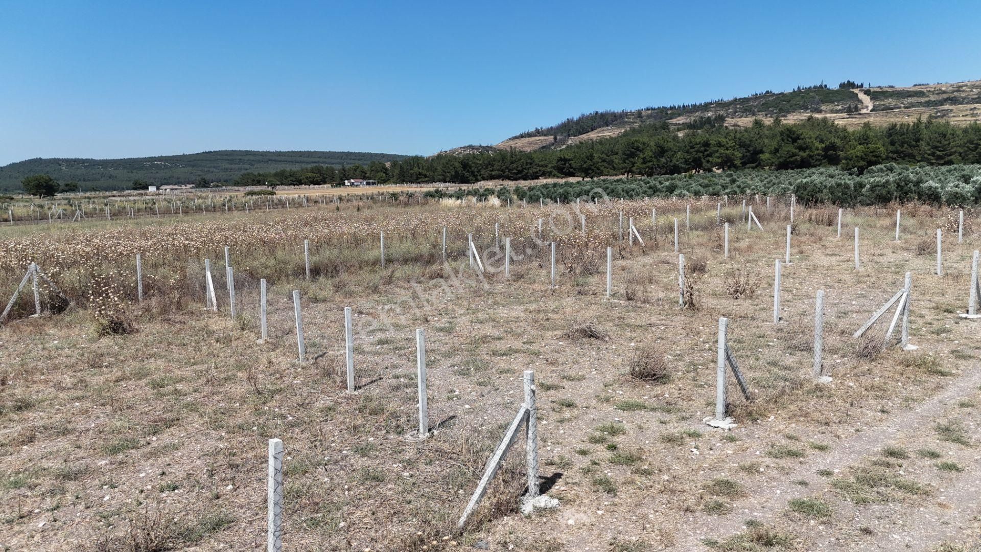 Tekeli 2 Ada 1 Parselde 270 M2 Noter Satışlı Bahçe Menderes İzmir - Görsel 22