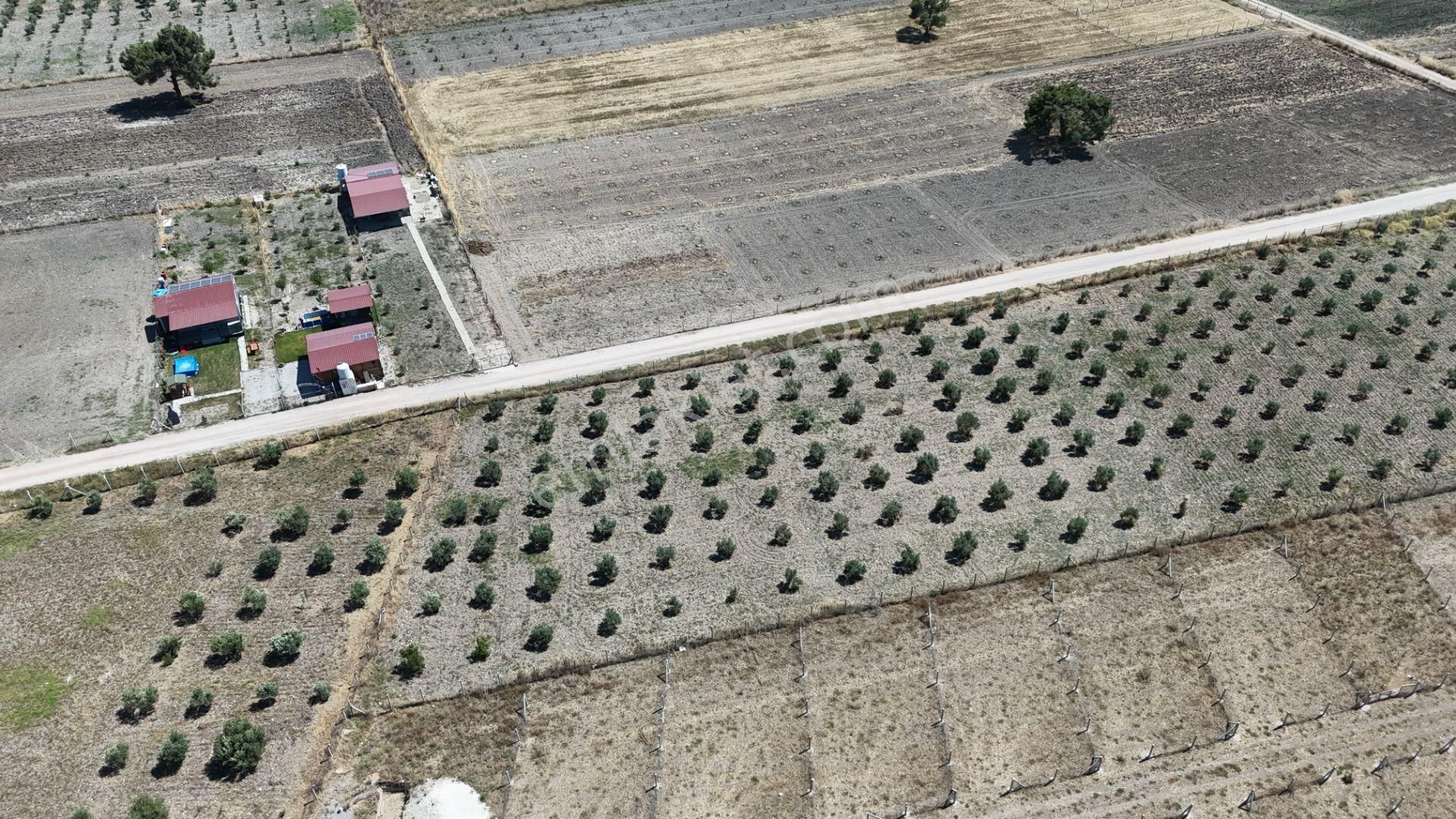 Tekeli 2 Ada 1 Parselde 270 M2 Noter Satışlı Bahçe Menderes İzmir - Görsel 20