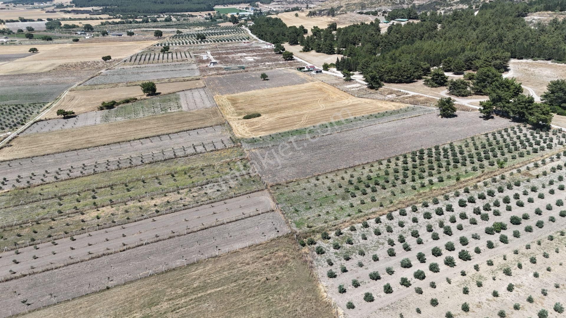 Tekeli 2 Ada 1 Parselde 270 M2 Noter Satışlı Bahçe Menderes İzmir - Görsel 24