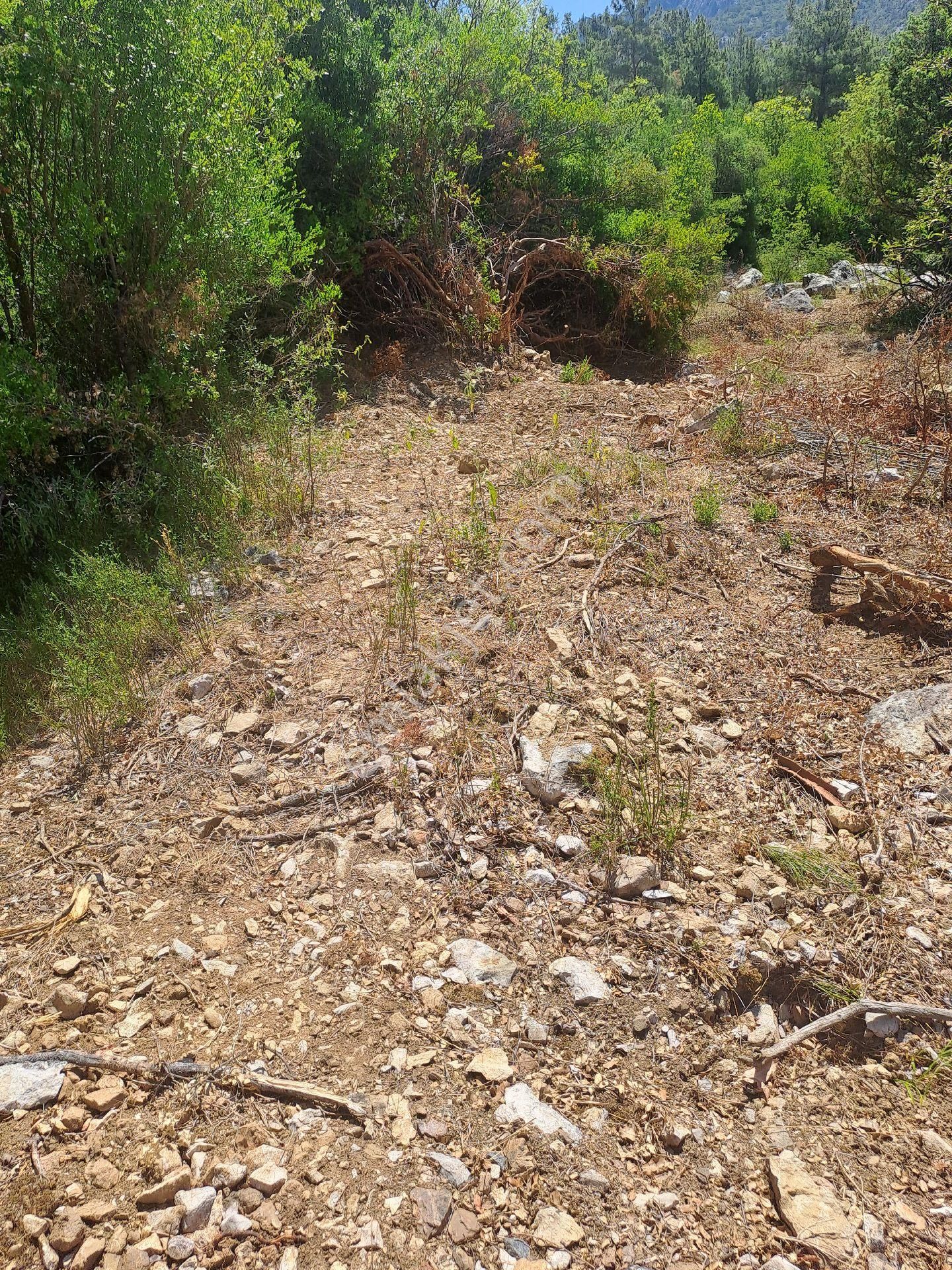 Antalya Akseki Usanmaz Emlaktan Mahmut Da Tek Tapu 494 M Bağ Nitelikii Yerimiz Satılıktır - Görsel 17