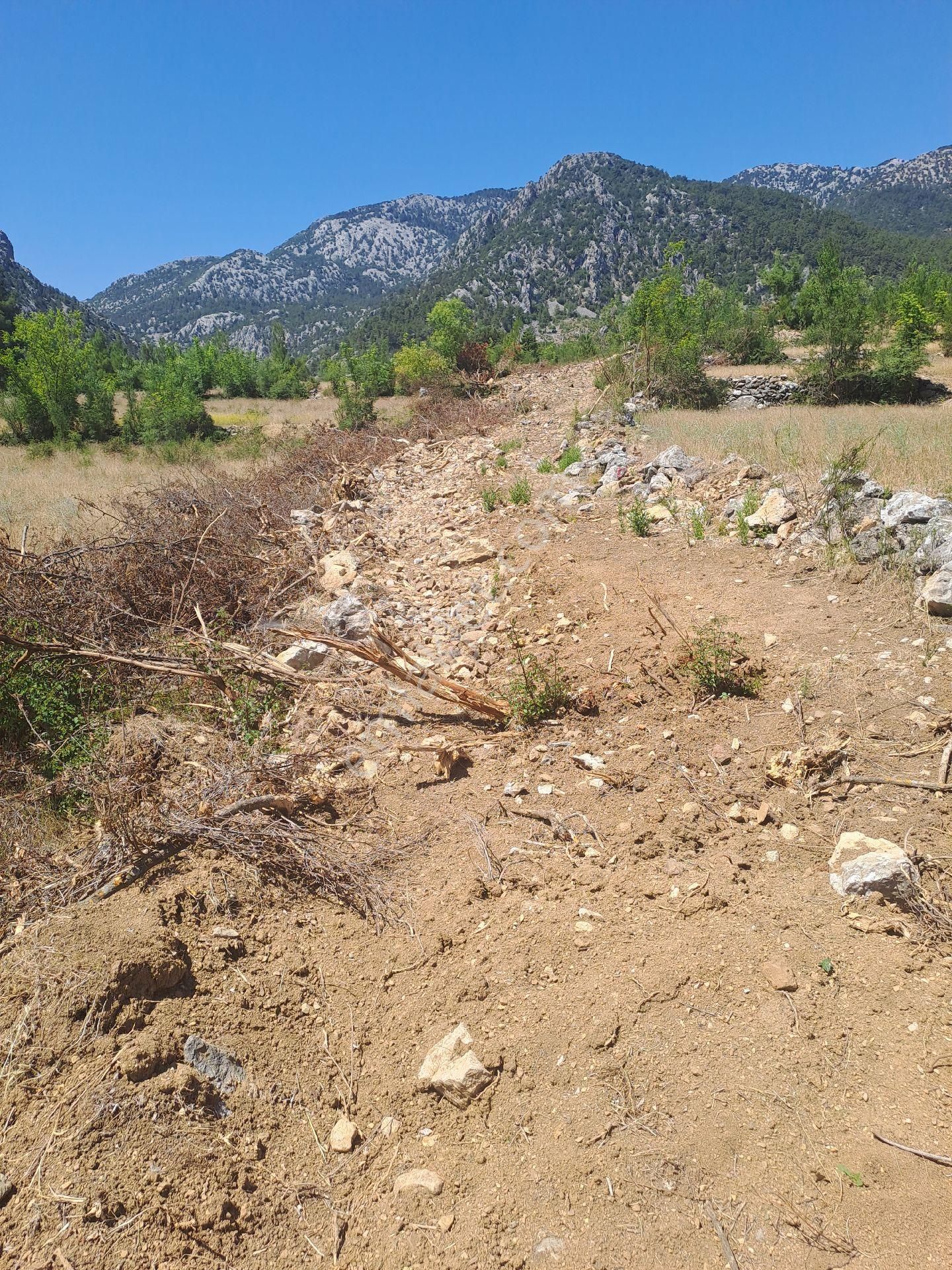 Antalya Akseki Usanmaz Emlaktan Mahmut Da Tek Tapu 494 M Bağ Nitelikii Yerimiz Satılıktır - Görsel 21