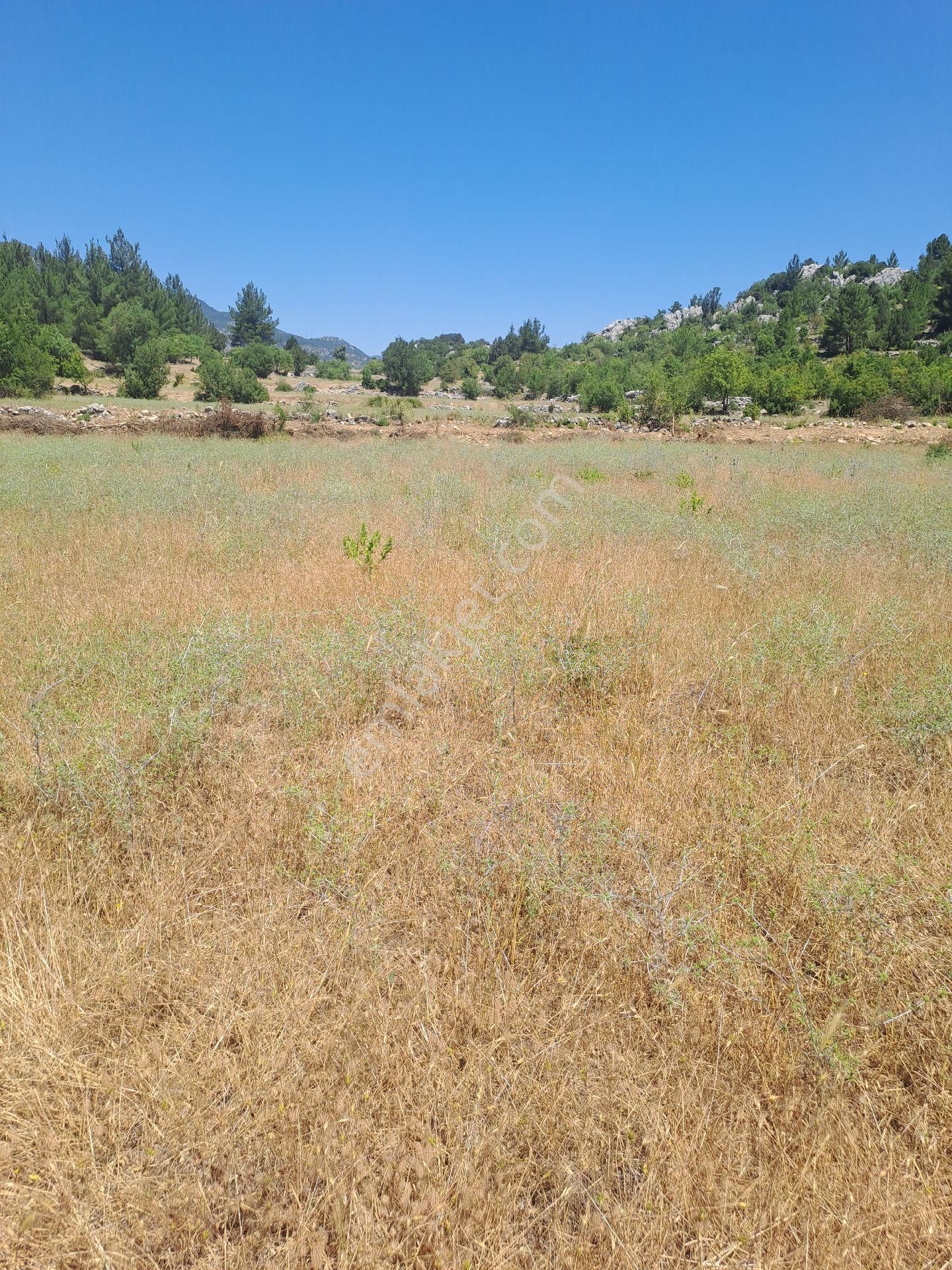 Antalya Akseki Usanmaz Emlaktan Mahmut Da Tek Tapu 494 M Bağ Nitelikii Yerimiz Satılıktır - Görsel 4