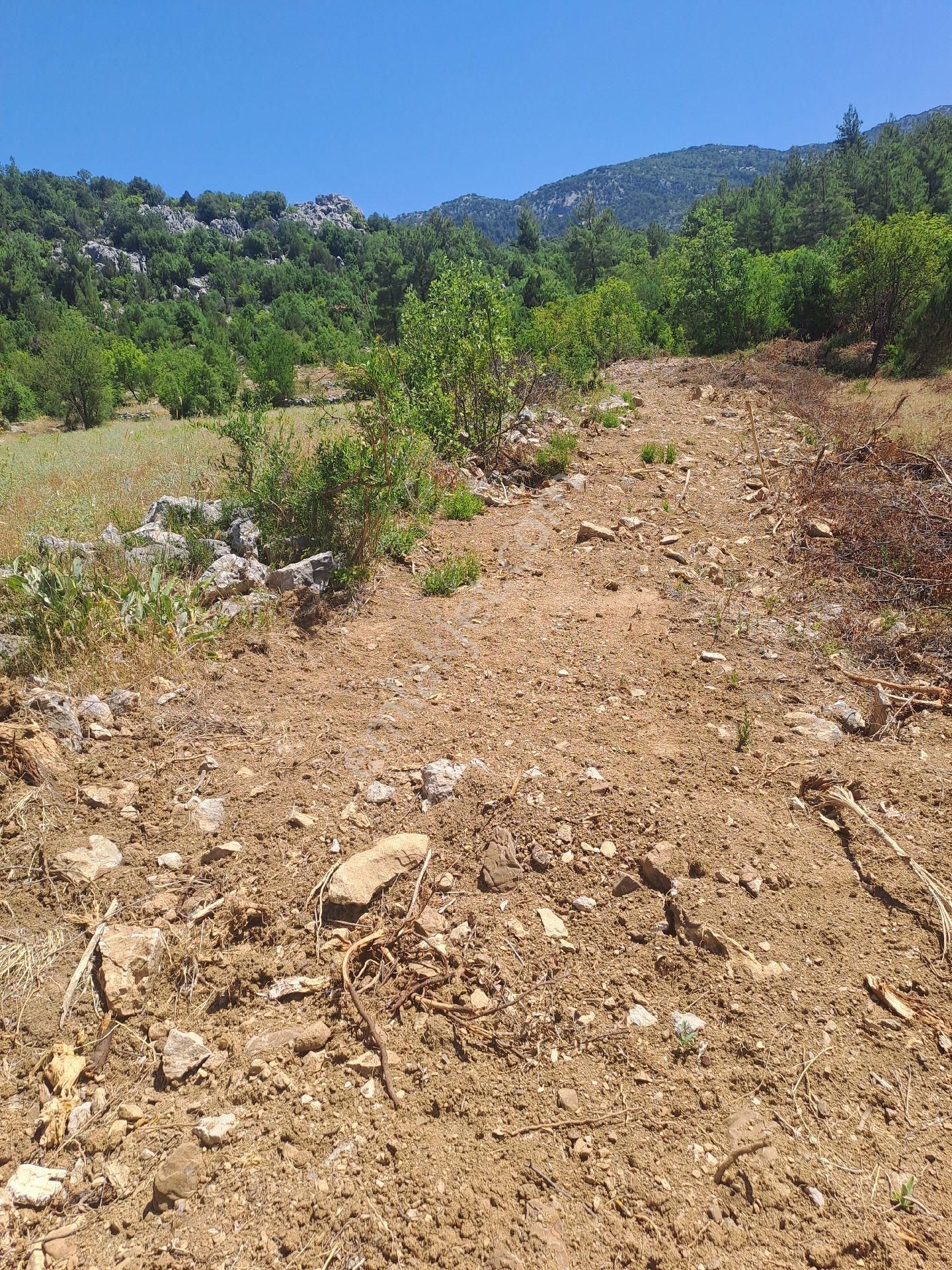 Antalya Akseki Usanmaz Emlaktan Mahmut Da Tek Tapu 494 M Bağ Nitelikii Yerimiz Satılıktır - Görsel 23