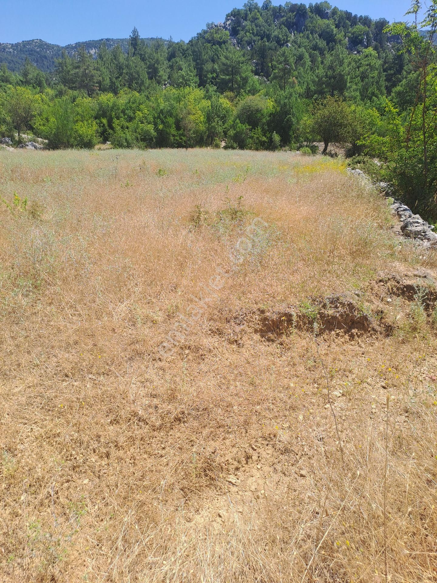 Antalya Akseki Usanmaz Emlaktan Mahmut Da Tek Tapu 494 M Bağ Nitelikii Yerimiz Satılıktır - Görsel 5