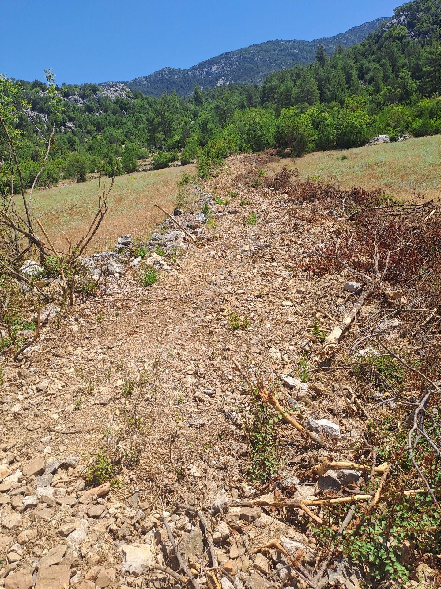 Antalya Akseki Usanmaz Emlaktan Mahmut Da Tek Tapu 494 M Bağ Nitelikii Yerimiz Satılıktır - Görsel 2