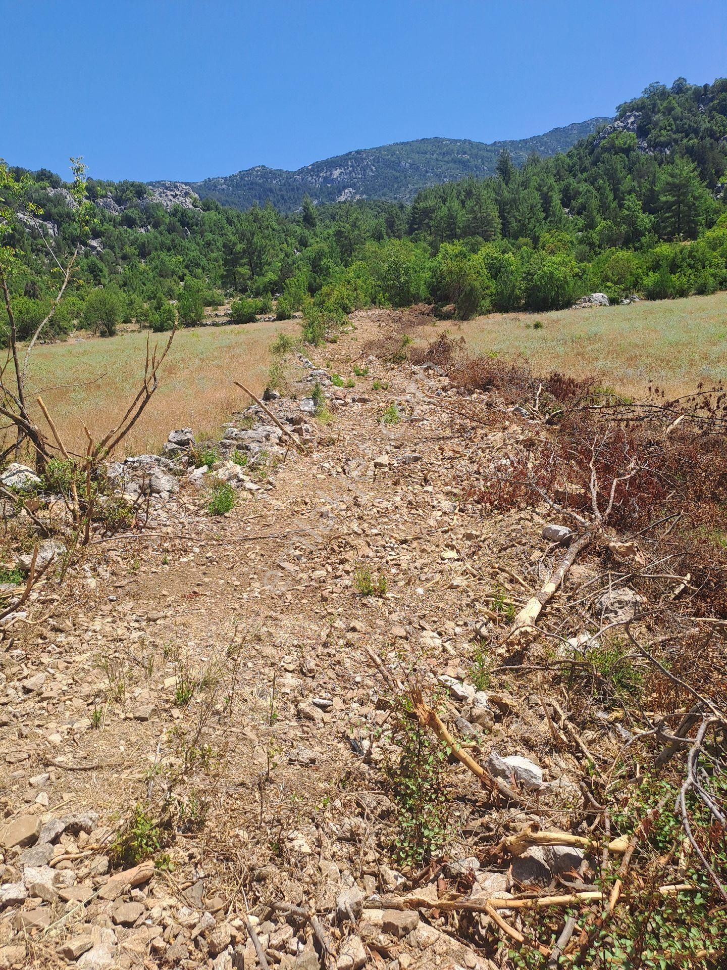 Antalya Akseki Usanmaz Emlaktan Mahmut Da Tek Tapu 494 M Bağ Nitelikii Yerimiz Satılıktır - Görsel 3