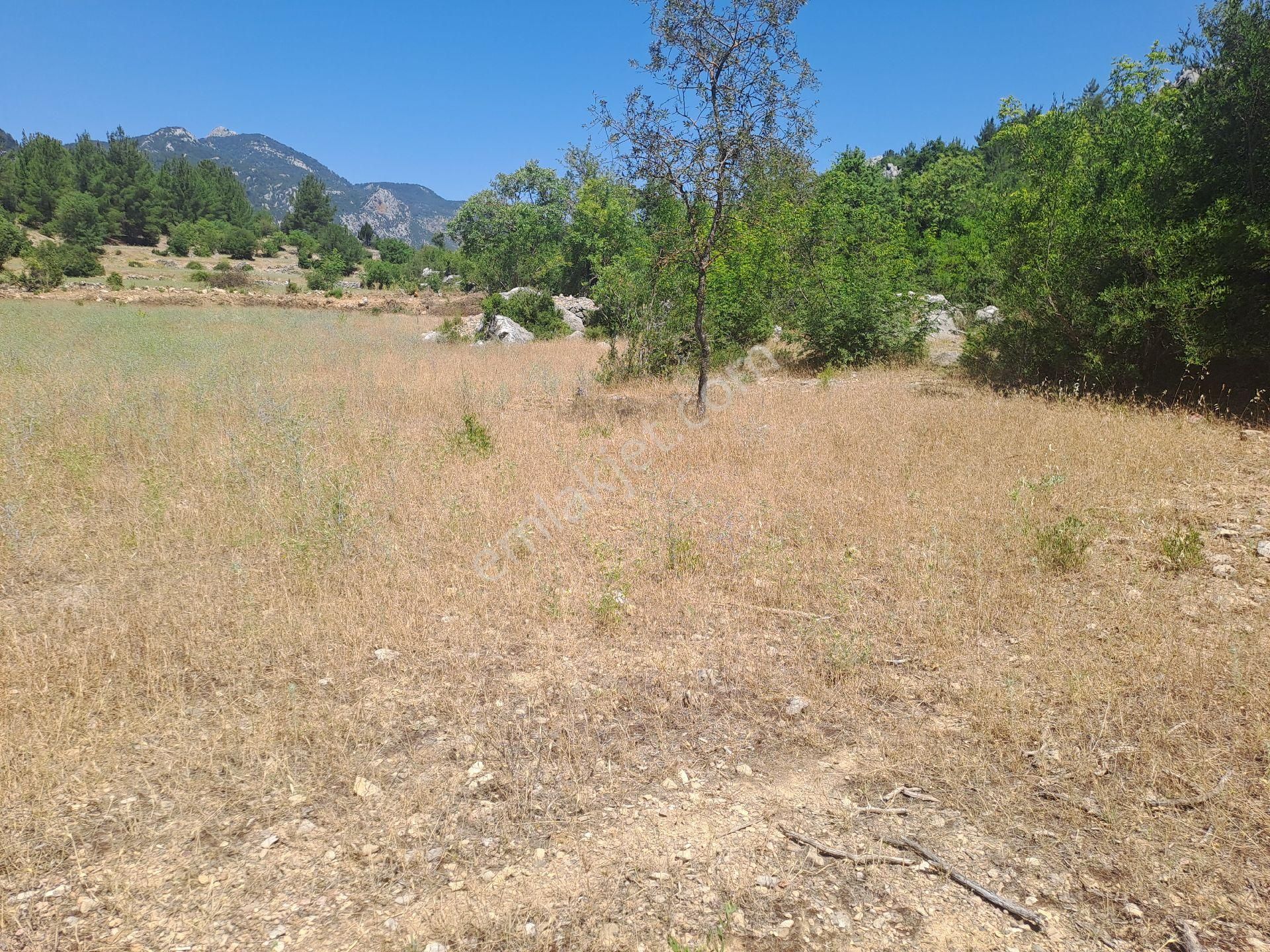 Antalya Akseki Usanmaz Emlaktan Mahmut Da Tek Tapu 494 M Bağ Nitelikii Yerimiz Satılıktır - Görsel 25