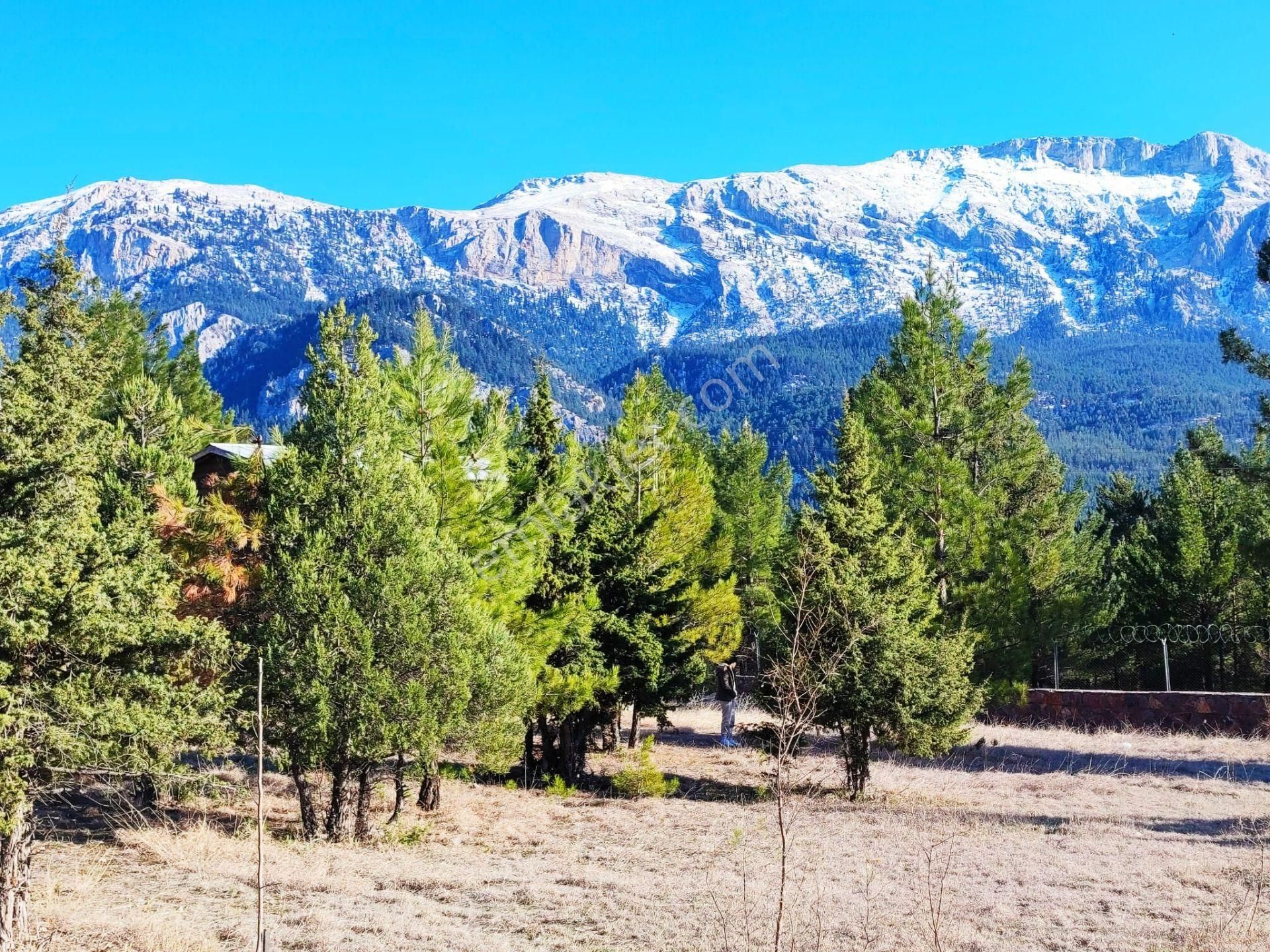 Pozantı Kar Emlaktan Akçatekir Alparslan Mevkiinde Doğa Manzaralı Satılık Yaylalık 375 M2 Arsa