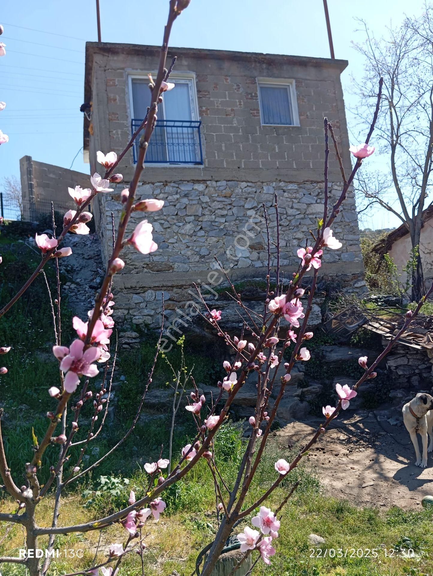 Bağarası Köyü Sökede Satılık Köy Evi - Görsel 7