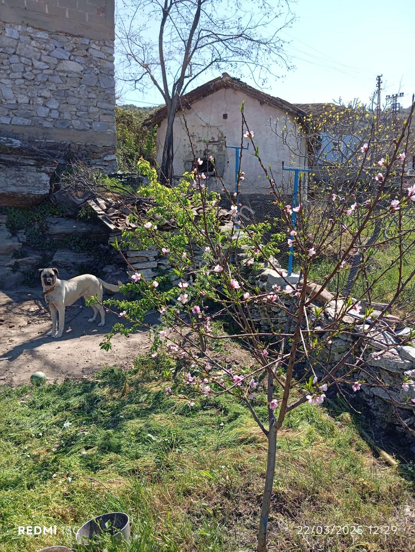 Bağarası Köyü Sökede Satılık Köy Evi - Görsel 11