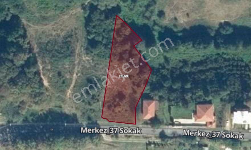 Hendek Yeşilvadi'de Asfalt Yola Cephe İmarlı Arsa - Görsel 28